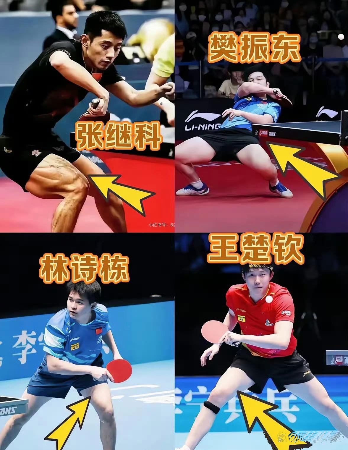 关于比利时乒乓球队轻取德国乒乓球队，张继科爆发神勇的信息