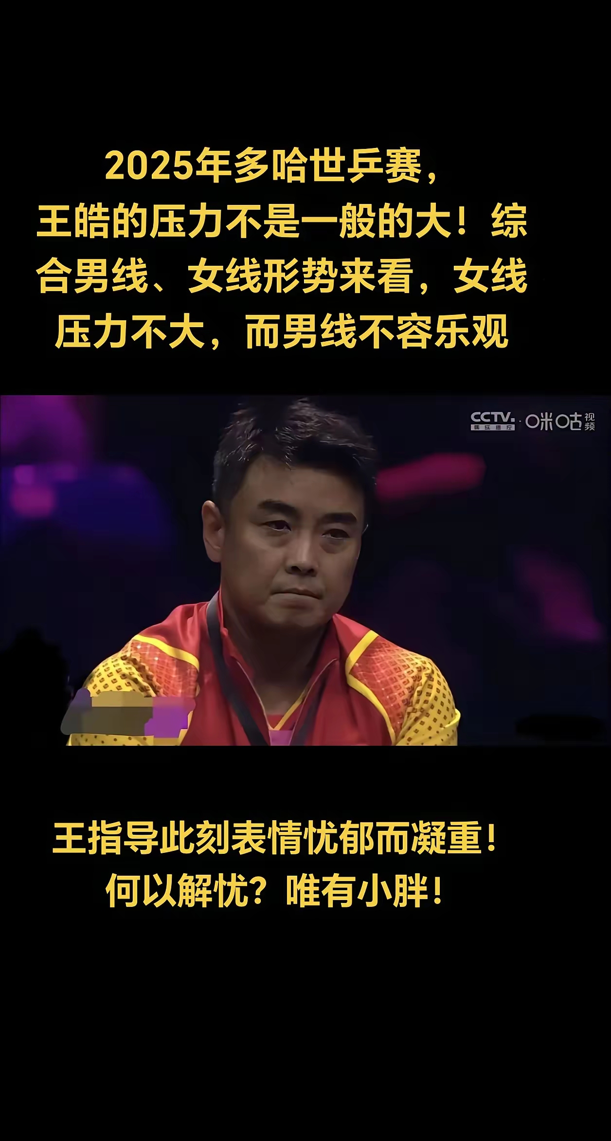 瑞典队碾压日本队,王皓关键制胜 瑞典队碾压日本队,王皓关键制胜