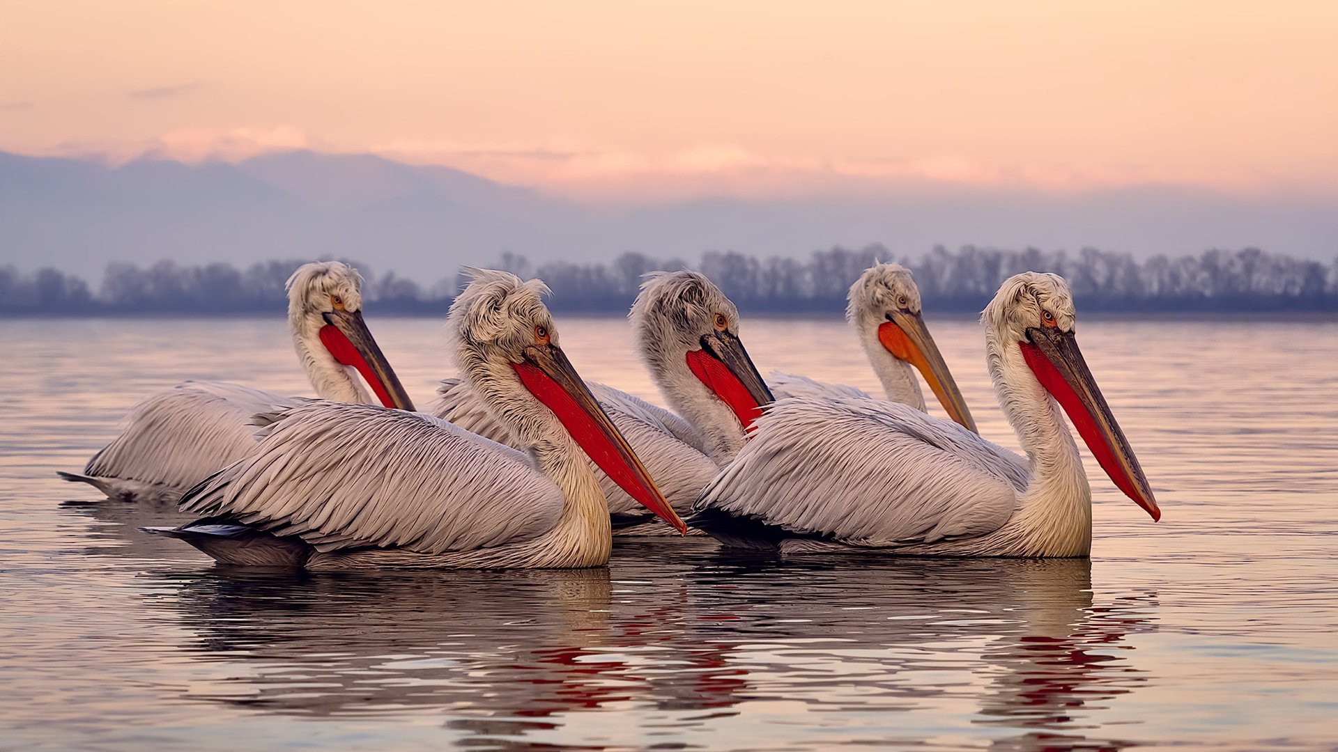 当喧嚣散尽，他听见了冰原解冻的声音—季后赛抢七之夜，拉梅洛打出生涯之夜