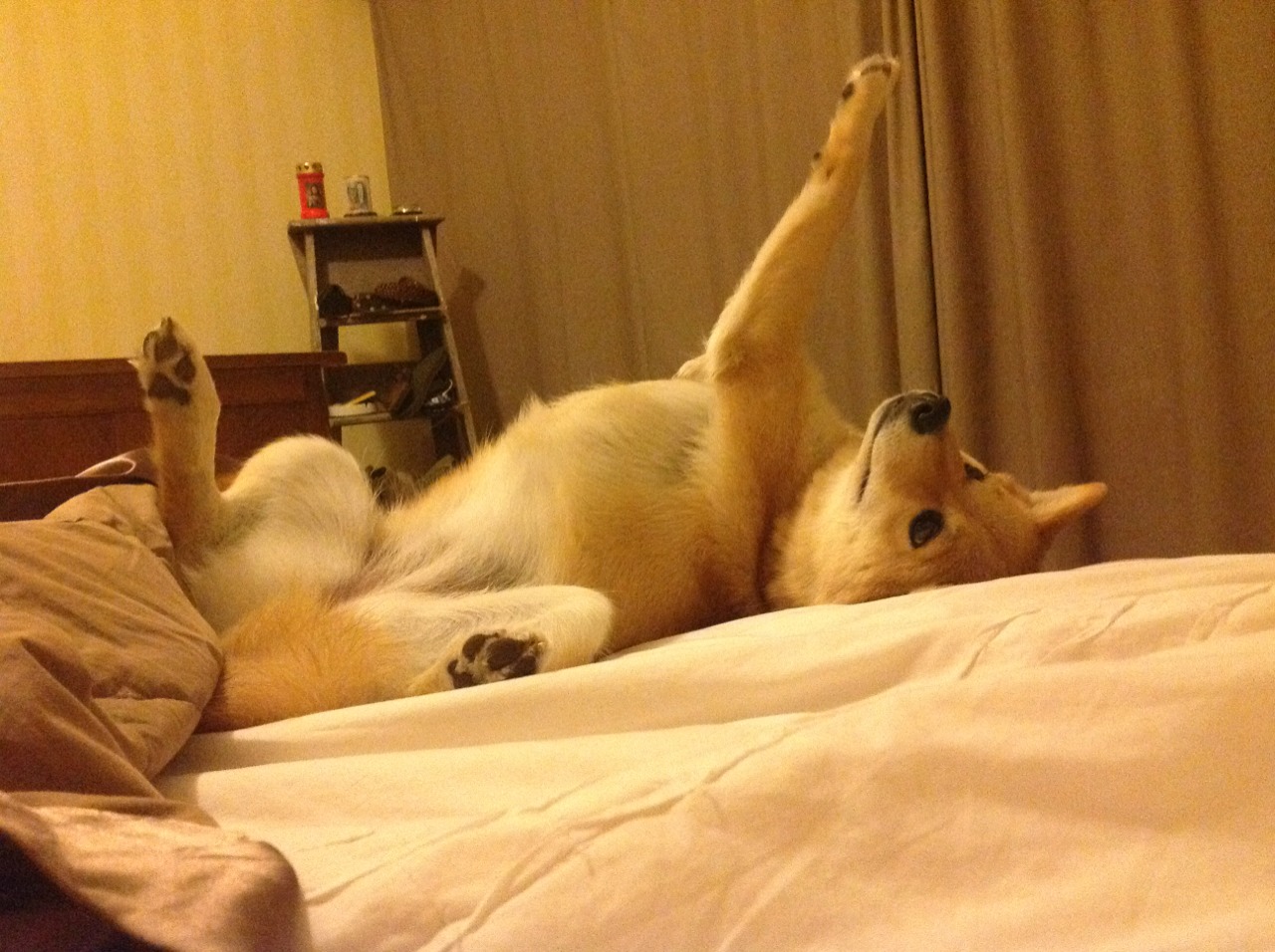 开云体育登录-巴斯托尼，大西洋彼岸的防守交响诗