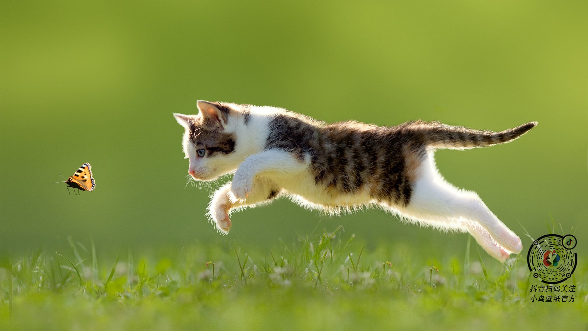 开云体育-从漏勺到铁闸,利拉德的防守觉醒与灰熊的争冠启示