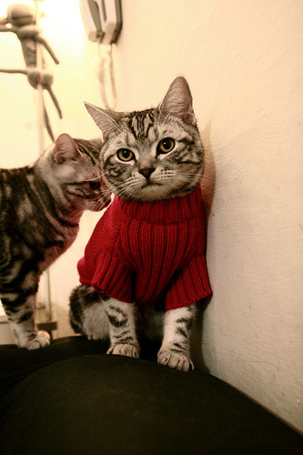 开云官网-抢七夜光!莱奥撕裂黑暗的刀锋