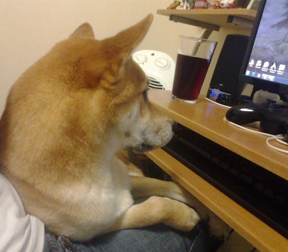 轰鸣与寂静之间，哈弗茨于焦点之夜的自证