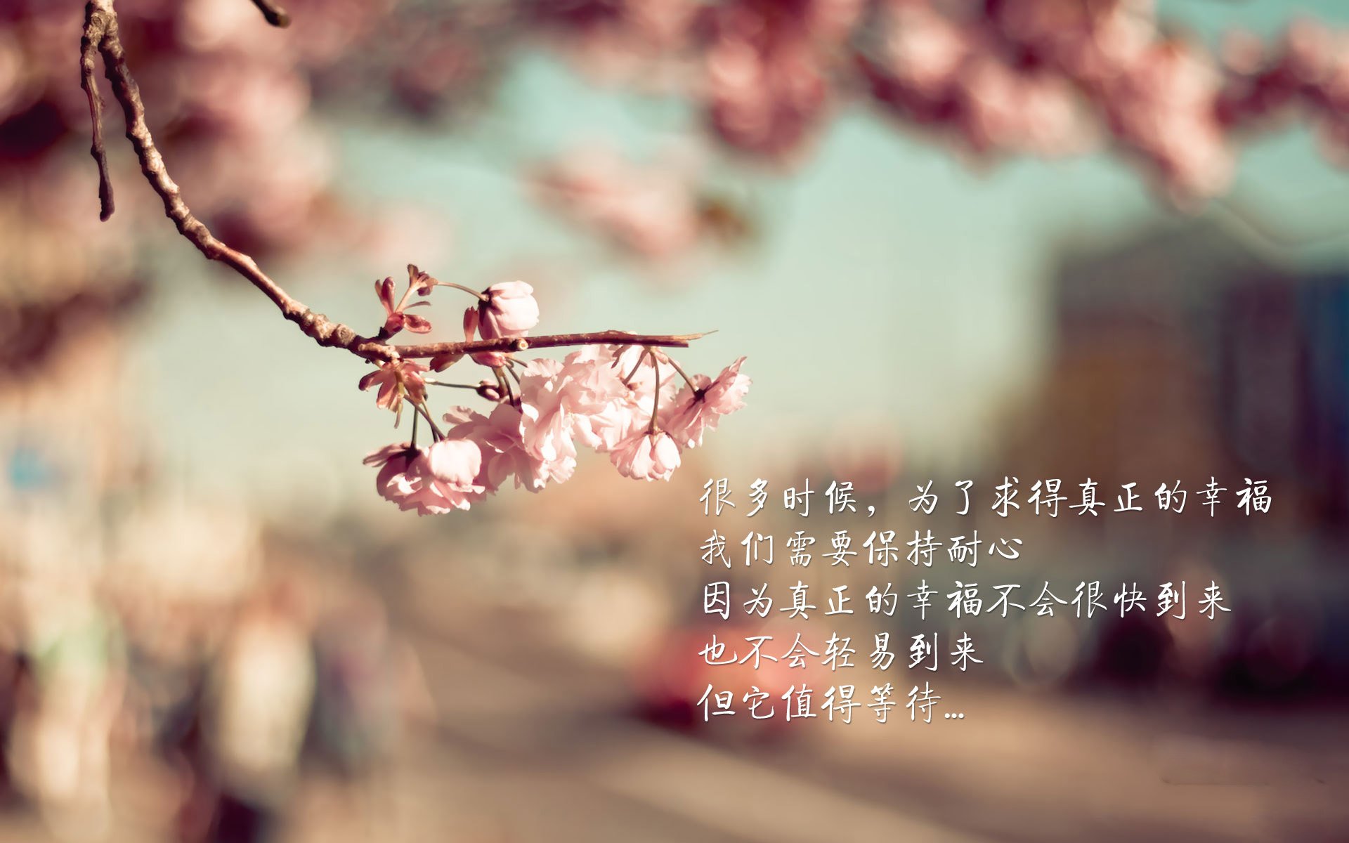 开云平台-掌控与冲垮，现代篮球的双重胜利法则