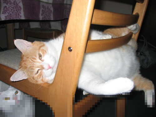 开云体育官网-夜战巅峰，布伦森闪耀世界排名争夺战