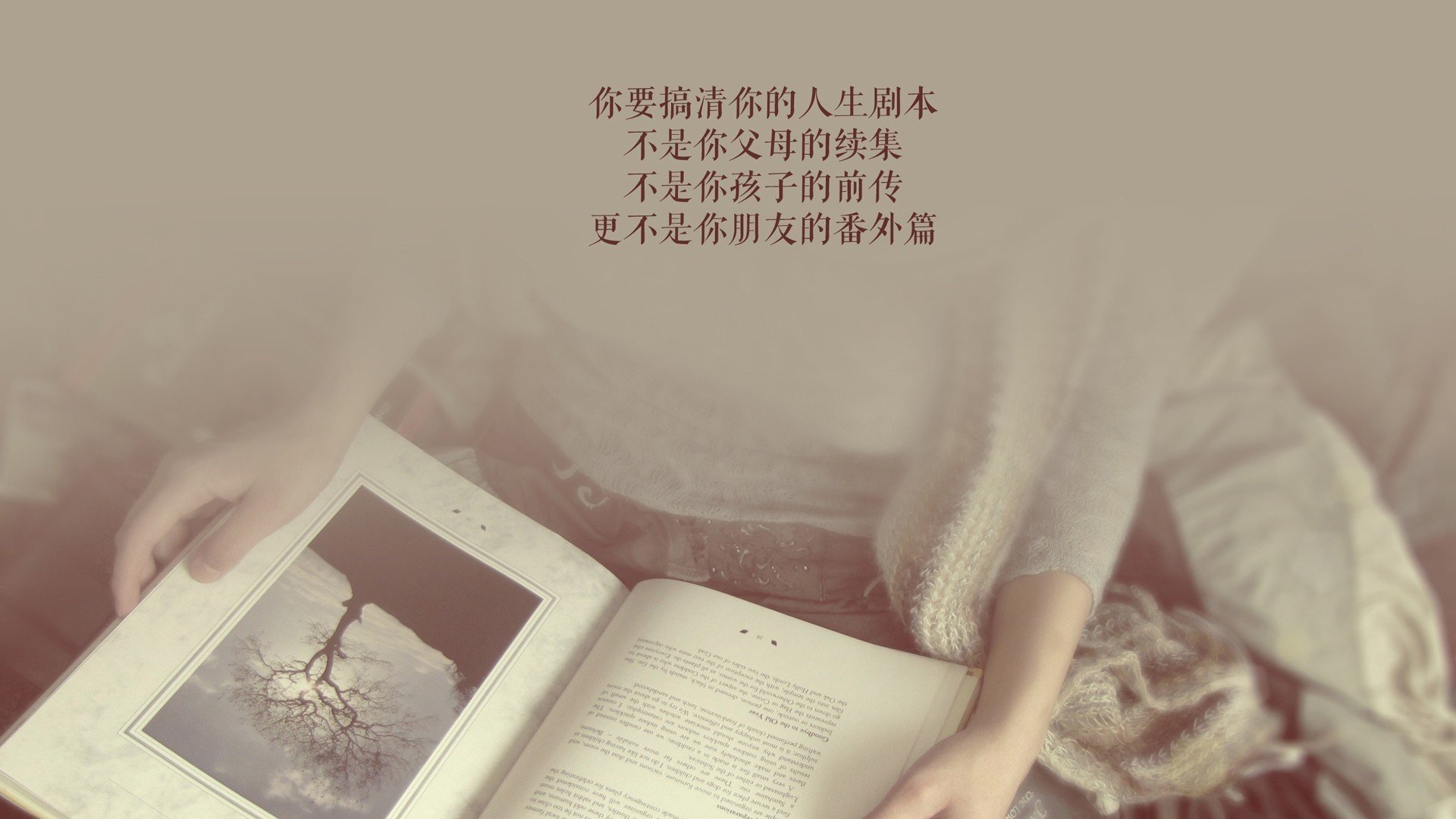 橙衣军团遇上非洲雄狮，布罗佐维奇的中场引擎，如何在2026世界杯H组为荷兰导航？