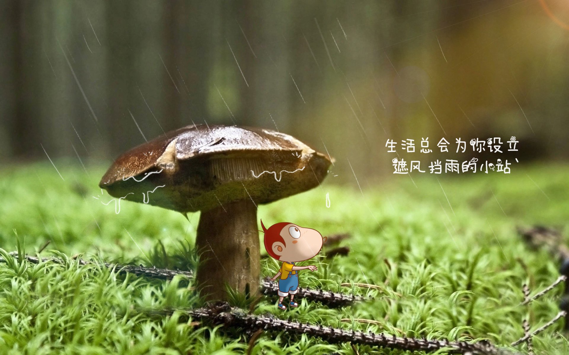 维尼修斯闪耀全场，匈牙利爆冷击败捷克，C组出线形势陡然生变
