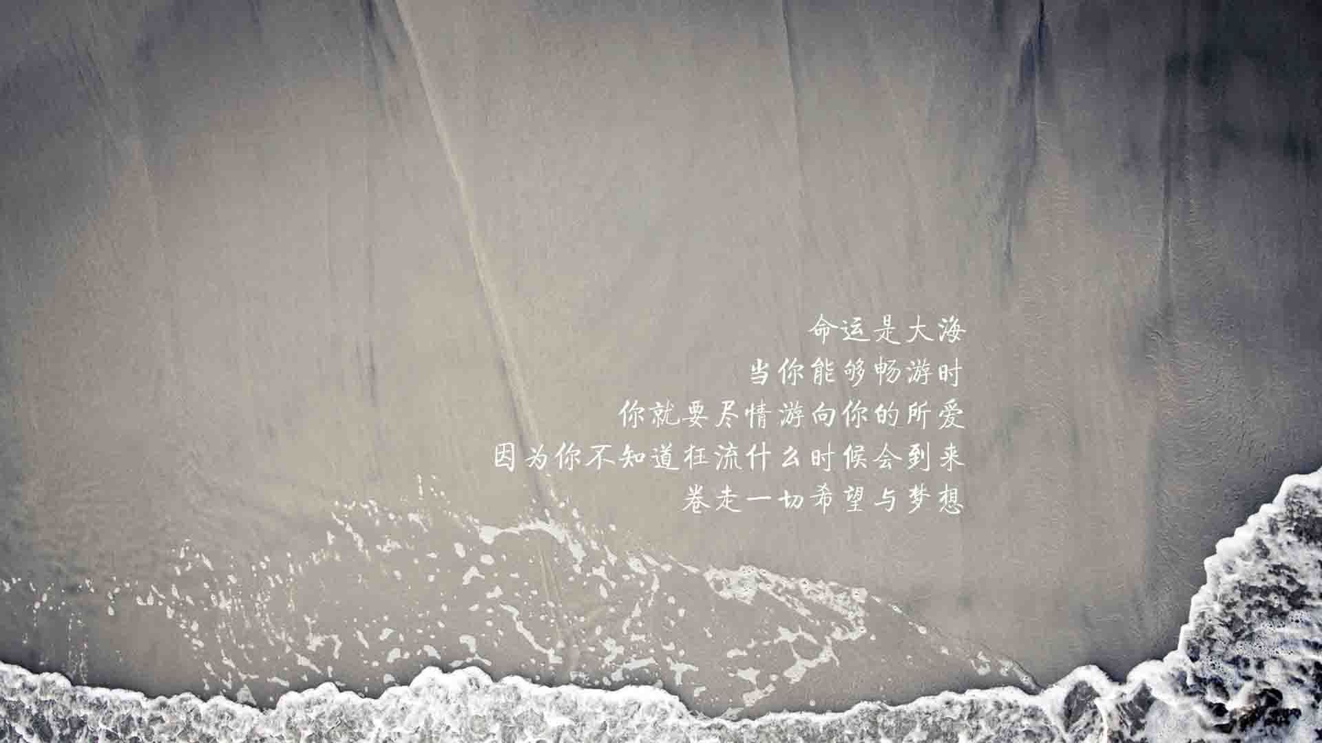 铁血防线铸奇迹,瑞士中场绞杀厄瓜多尔,拉什福德独木难支