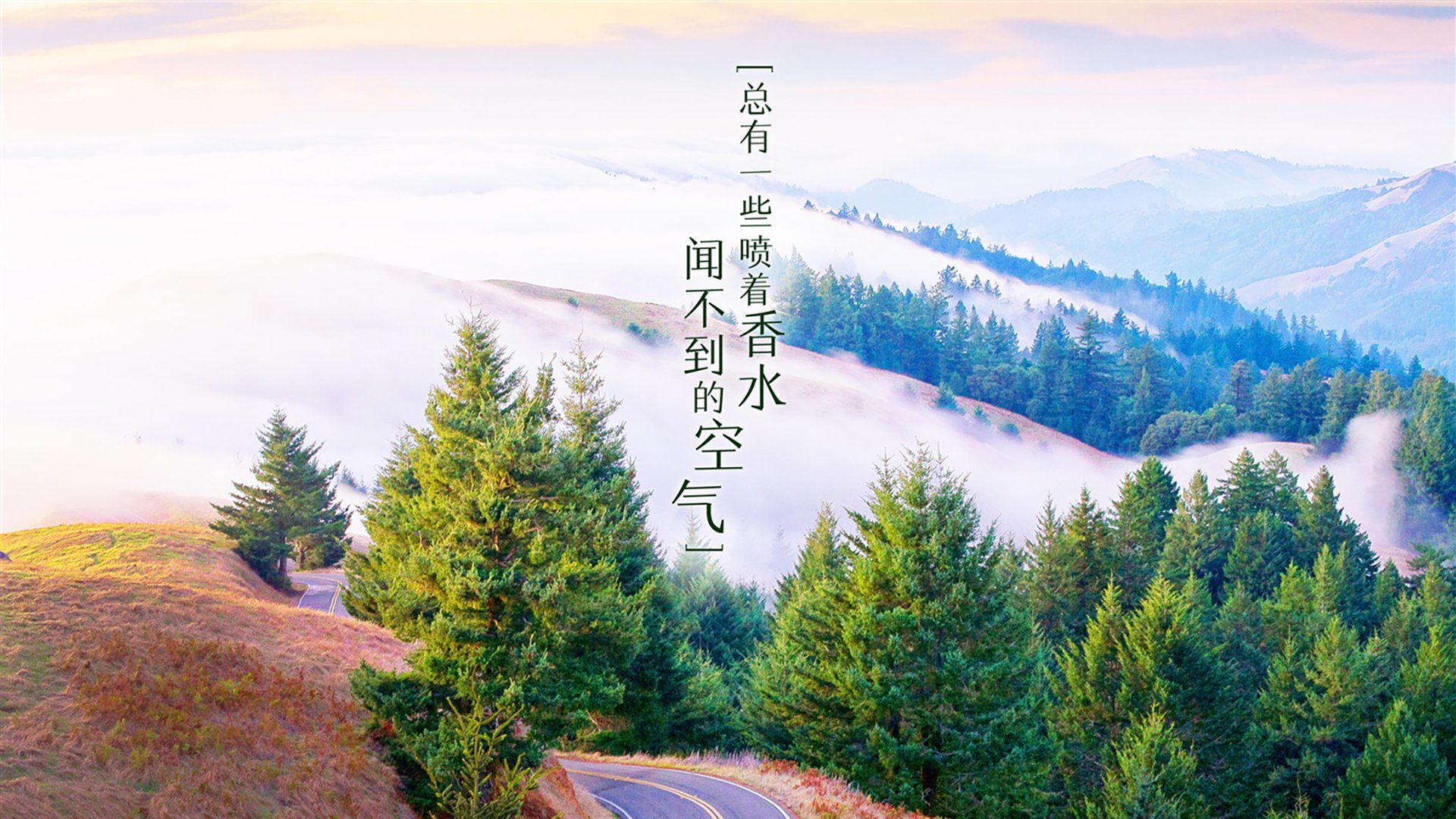 桑巴风暴席卷卢赛尔，加维王者加冕，巴西横扫葡萄牙挺进2026世界杯决赛